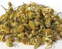 Organic Chamomile Flowers for Tea