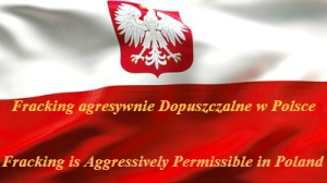 Polish Flag Aggressive Green 400 Magazine